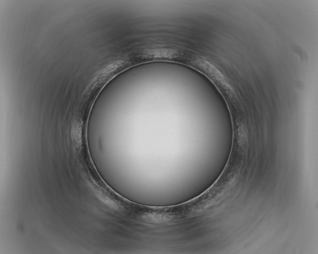 X0000115720537200911121453