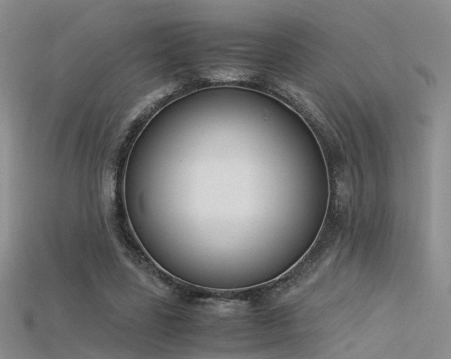 X0000115720539200911121453