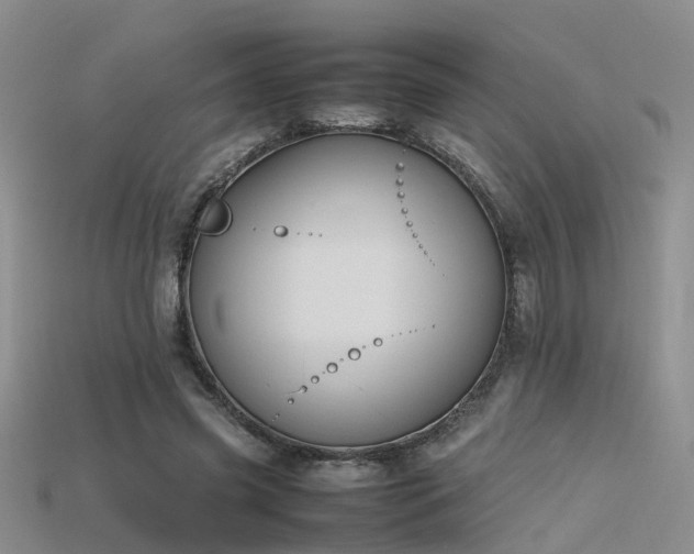 X0000115720541200911121453