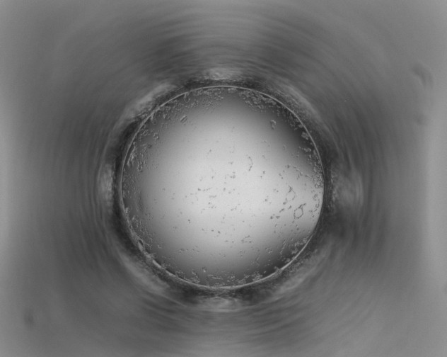 X0000115720542200911121453