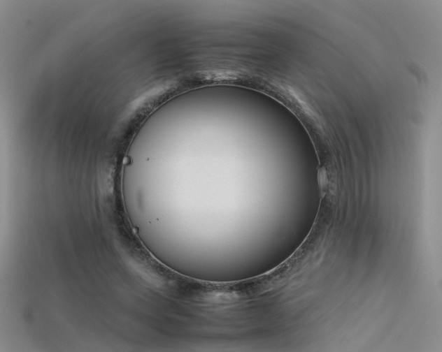 X0000115720543200911121453