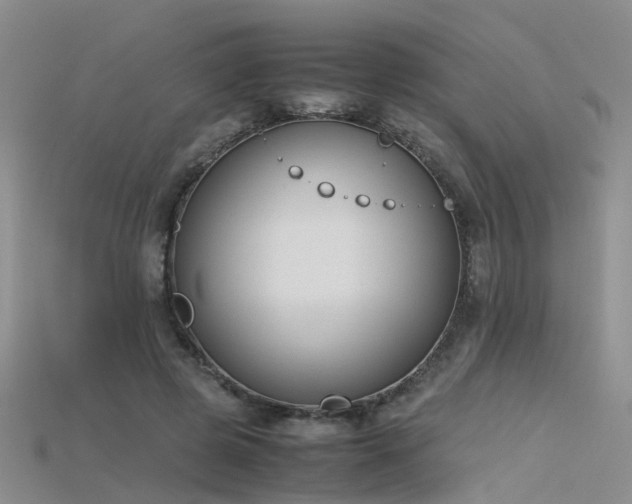 X0000115720545200911121453