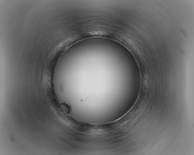 X0000115720547200911121453