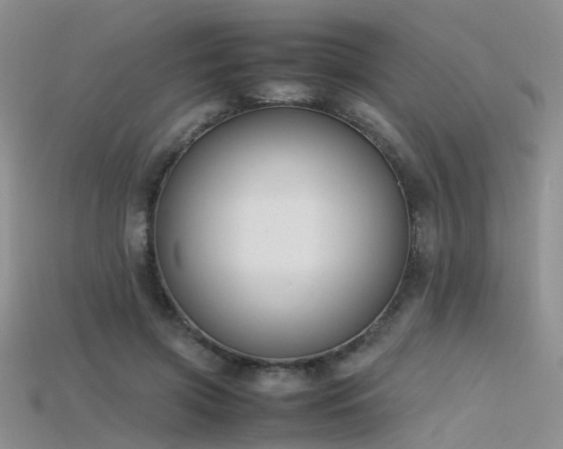 X0000115720549200911121453