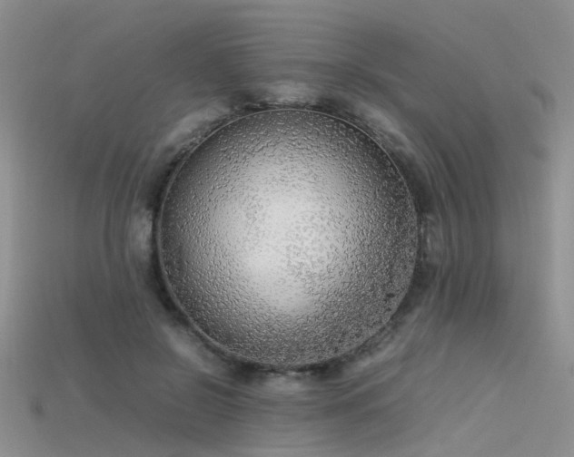 X0000115720550200911121453