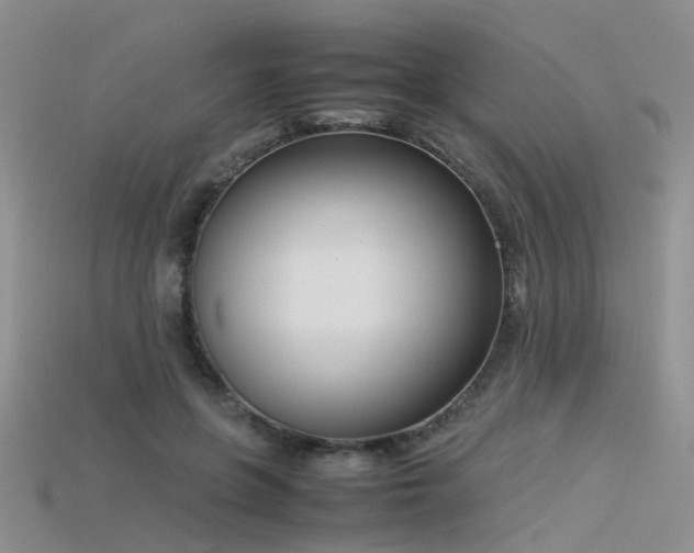 X0000115720551200911121453