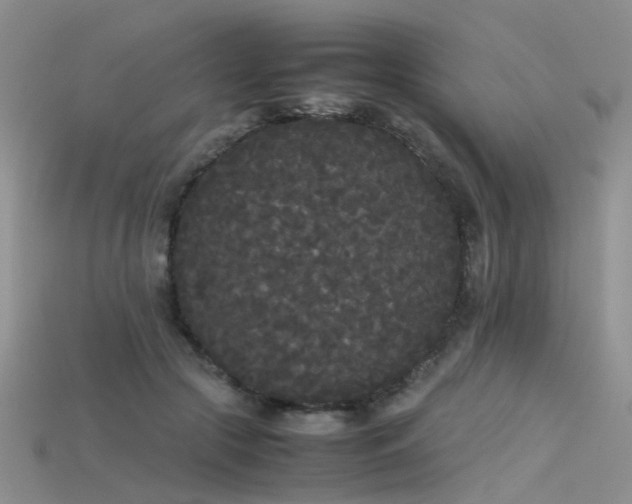 X0000115720553200911121453