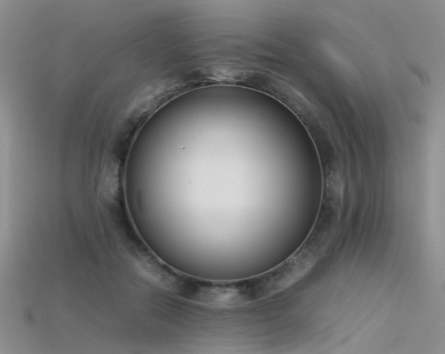 X0000115720554200911121453