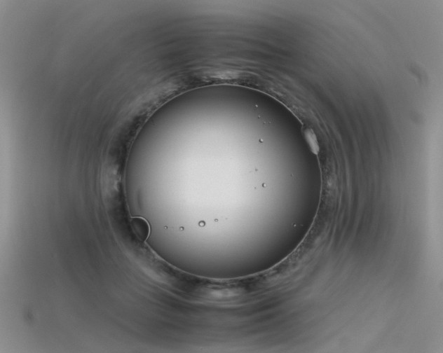 X0000115720555200911121453