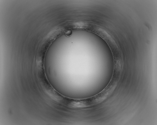 X0000115720557200911121453
