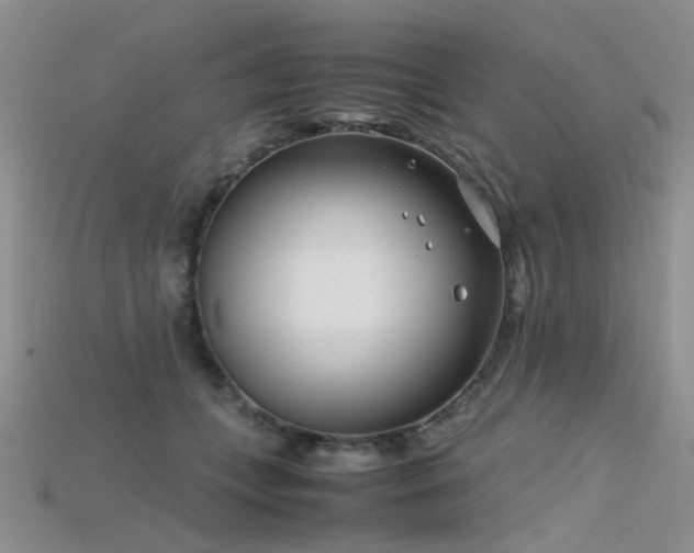 X0000115720559200911121453