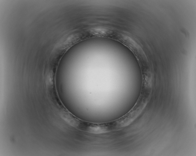X0000115720561200911121453