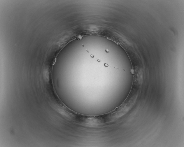 X0000115720562200911121453