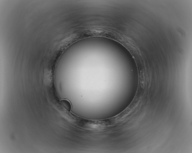 X0000115720563200911121453