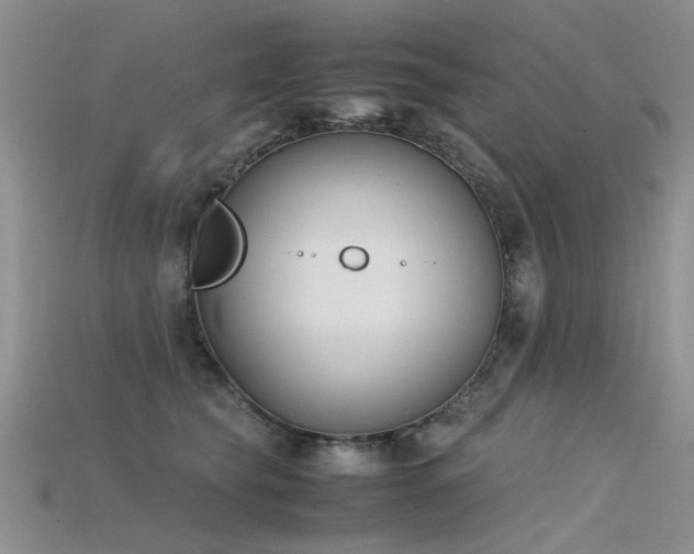 X0000115720565200911121453