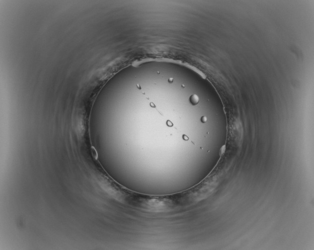 X0000115720566200911121453