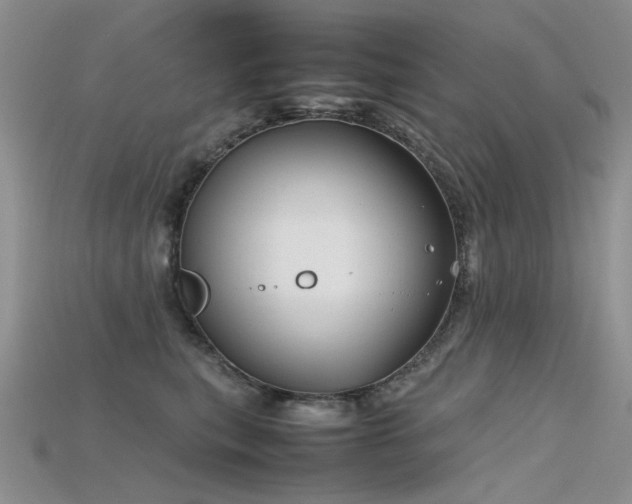 X0000115720567200911121453