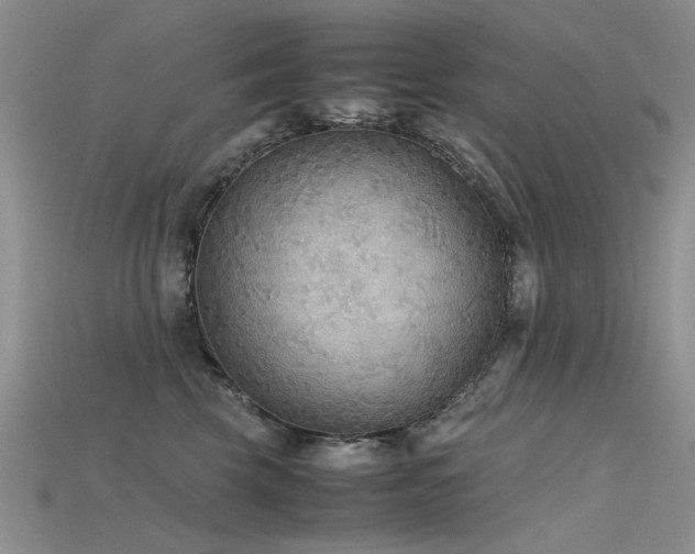 X0000115720569200911121453