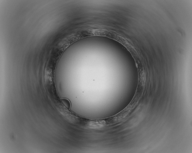 X0000115720571200911121453