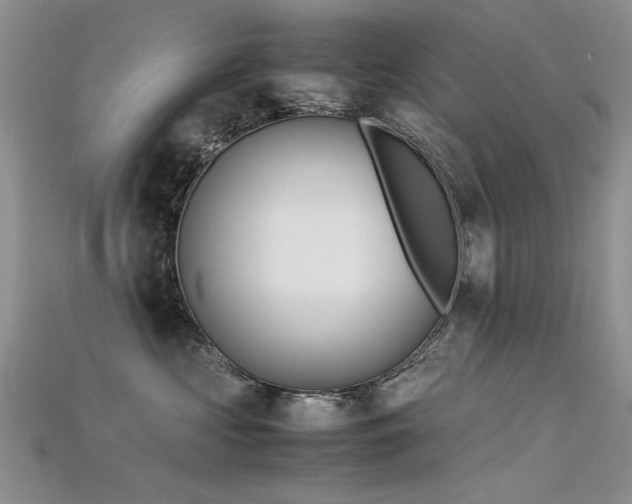 X0000115720573200911121453