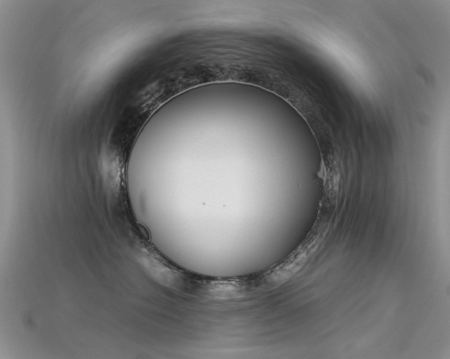 X0000115720574200911121453