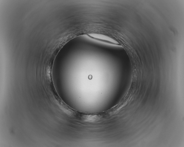 X0000115720575200911121453