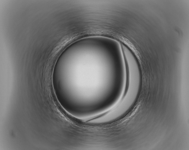X0000115720577200911121453