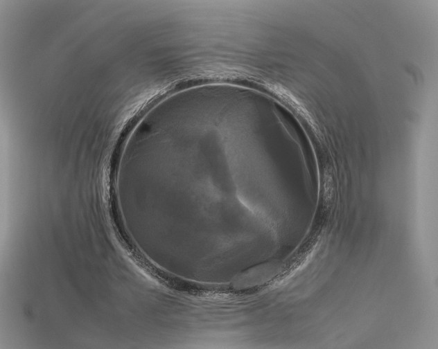 X0000115720581200911121453