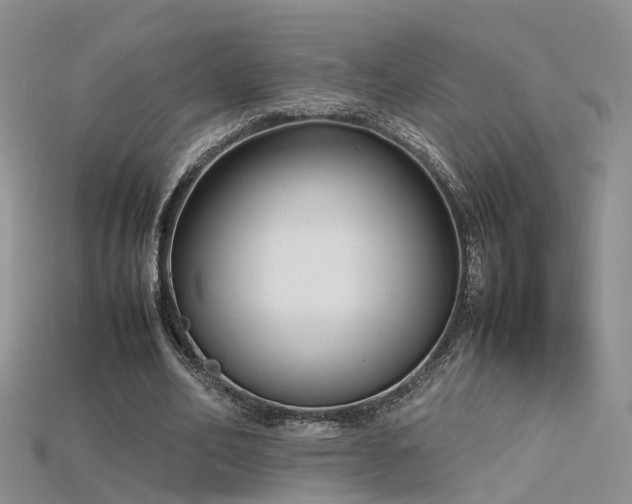 X0000115720582200911121453