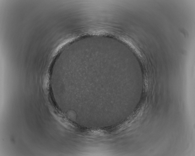 X0000115720583200911121453