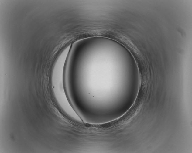 X0000115720585200911121452
