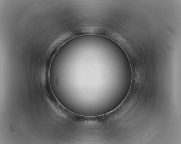 X0000115720586200911121452