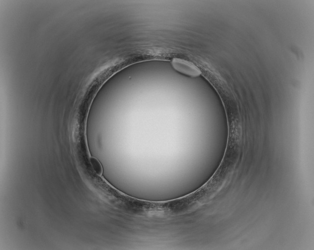 X0000115720587200911121452