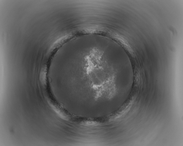 X0000115720590200911121452