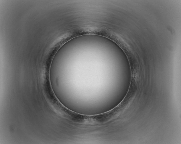 X0000115720591200911121452