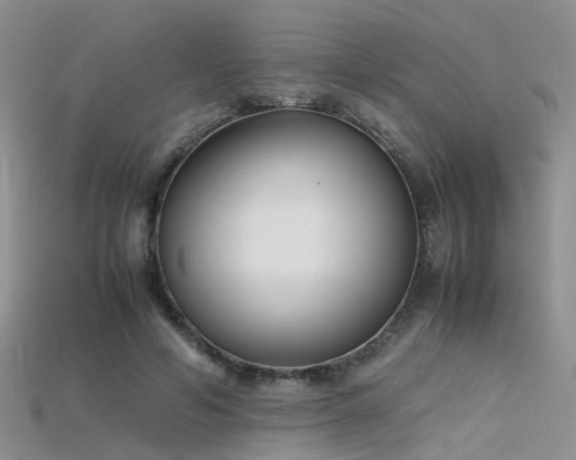X0000115720594200911121452