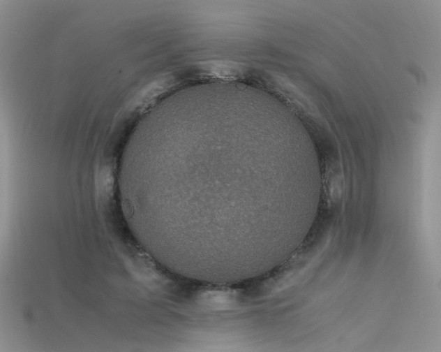 X0000115720595200911121452