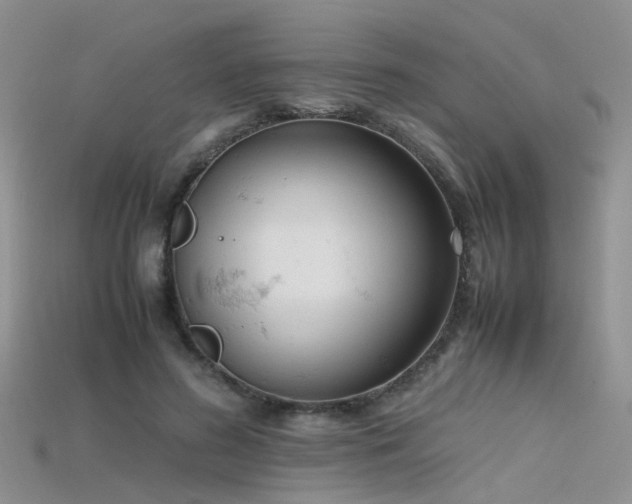 X0000115720596200911121452