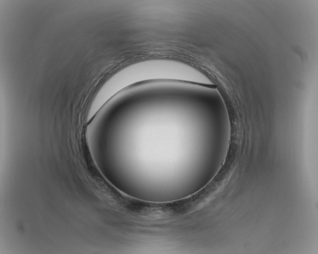 X0000115720597200911121452
