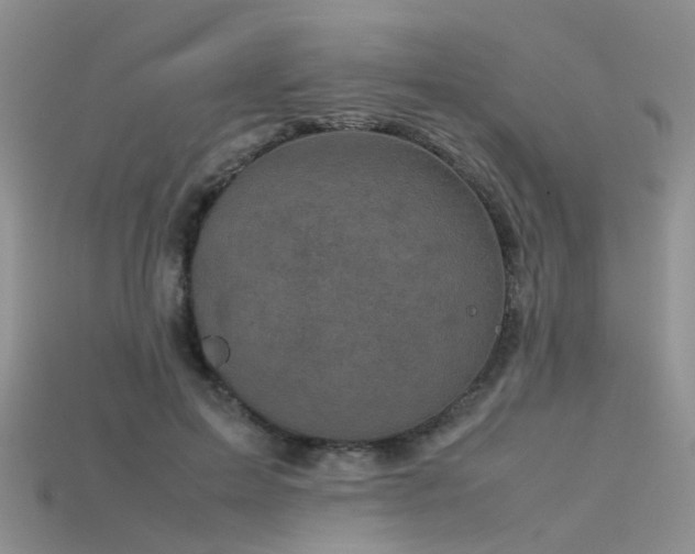 X0000115720599200911121452