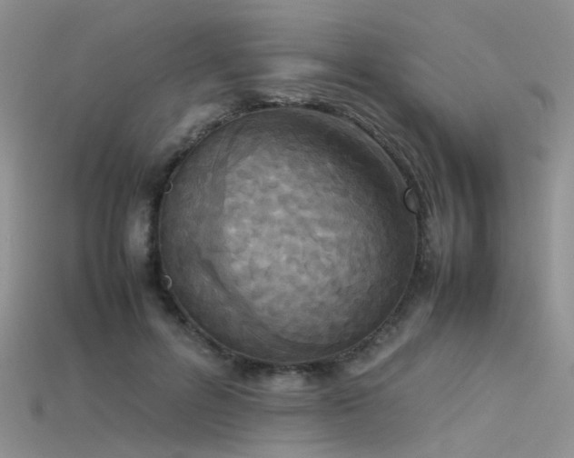 X0000115720600200911121452