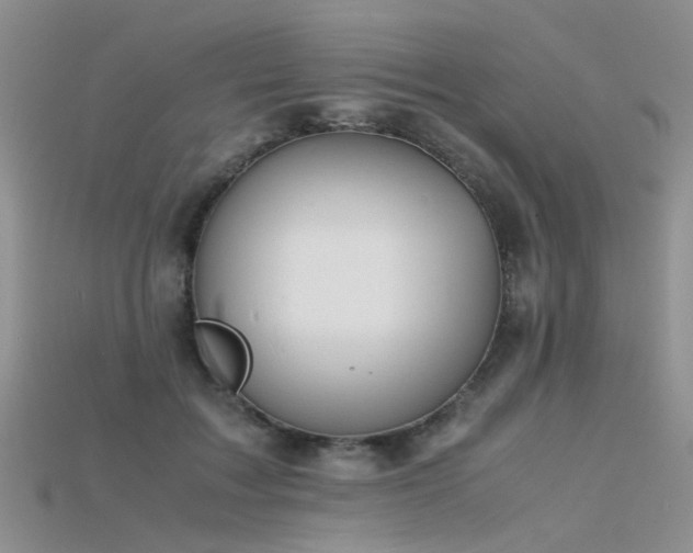 X0000115720603200911121452