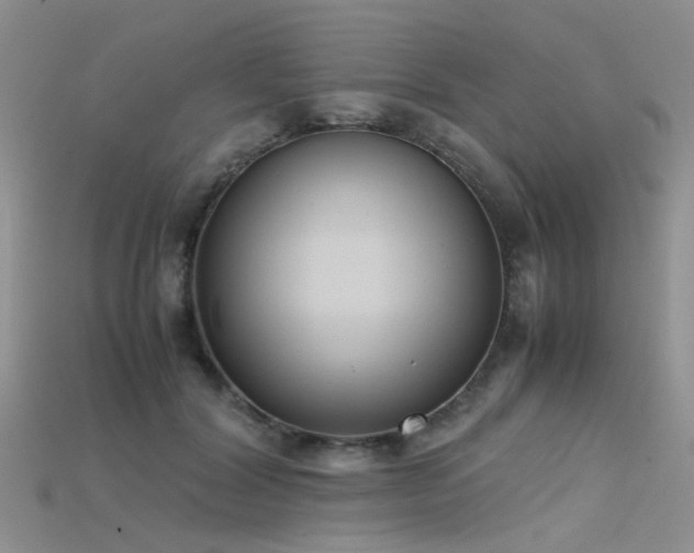 X0000115720604200911121452