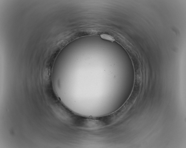 X0000115720605200911121452