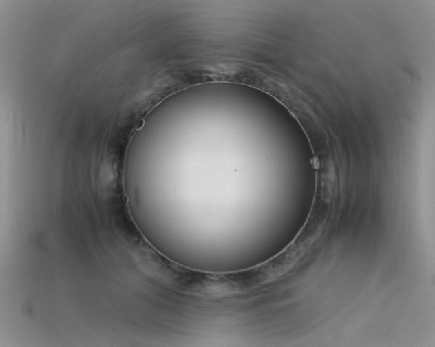 X0000115720608200911121452