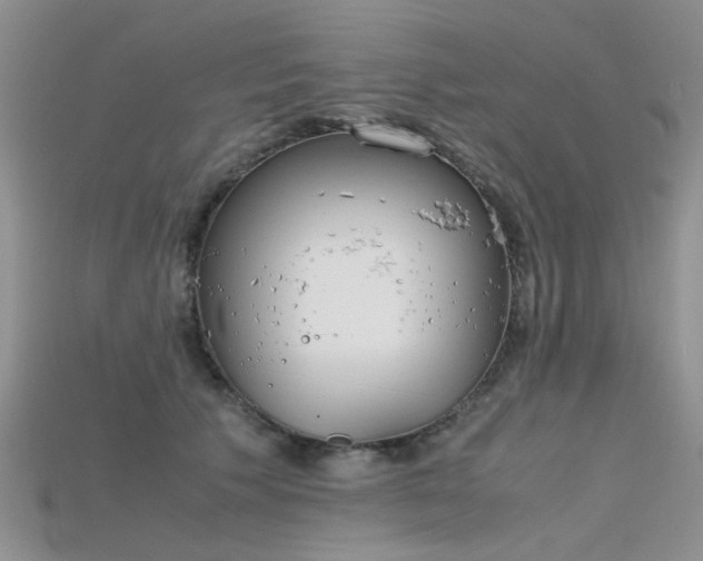 X0000115720609200911121452