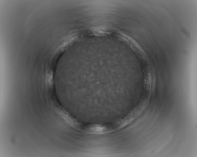 X0000115720610200911121452