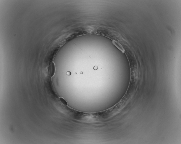 X0000115720611200911121452