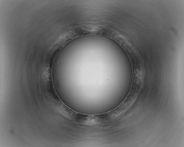 X0000115720612200911121452