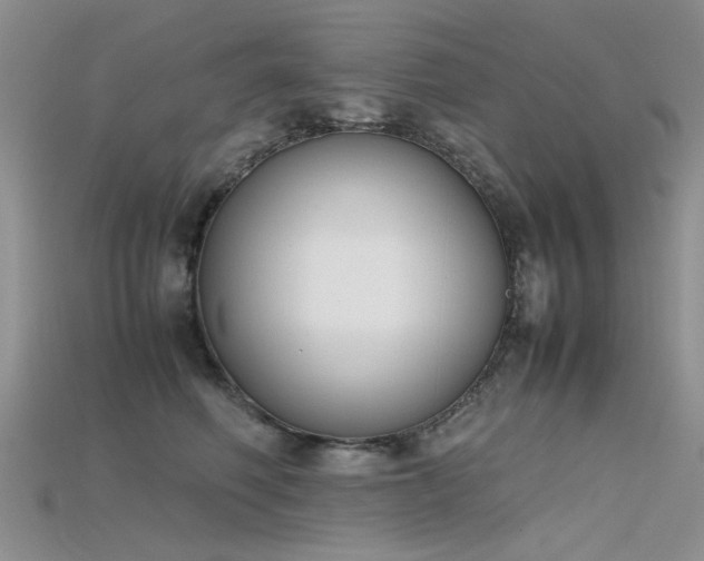 X0000115720614200911121452